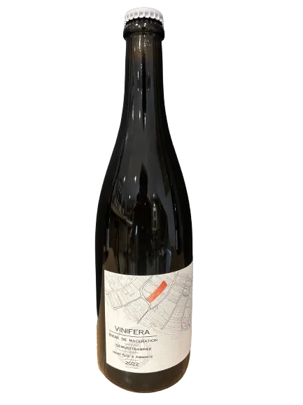vinifera gewurztraminer